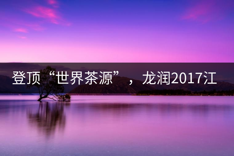 登頂“世界茶源”，龍潤2017江城茶上市啦！