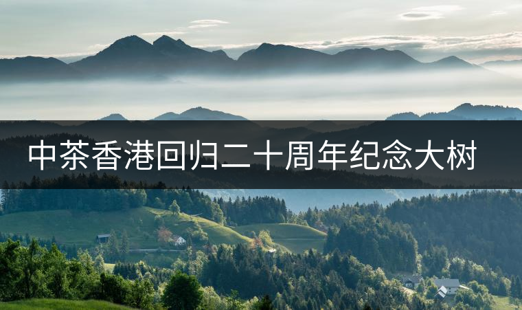 中茶香港回歸二十周年紀(jì)念大樹(shù)普洱茶上市 中茶香港回歸二十周年紀(jì)念大樹(shù)普洱茶上市