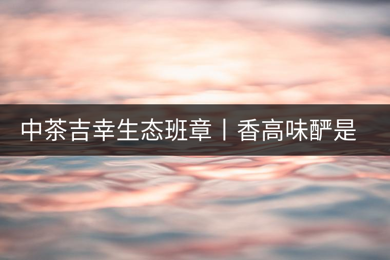 中茶吉幸生態(tài)班章丨香高味釅是王者，且品且珍惜