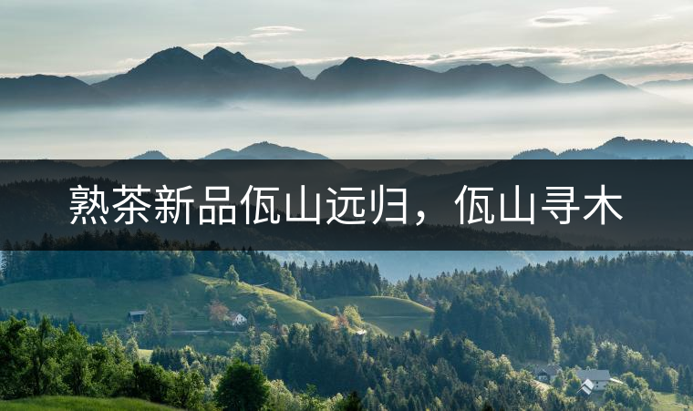 熟茶新品佤山遠(yuǎn)歸，佤山尋木
