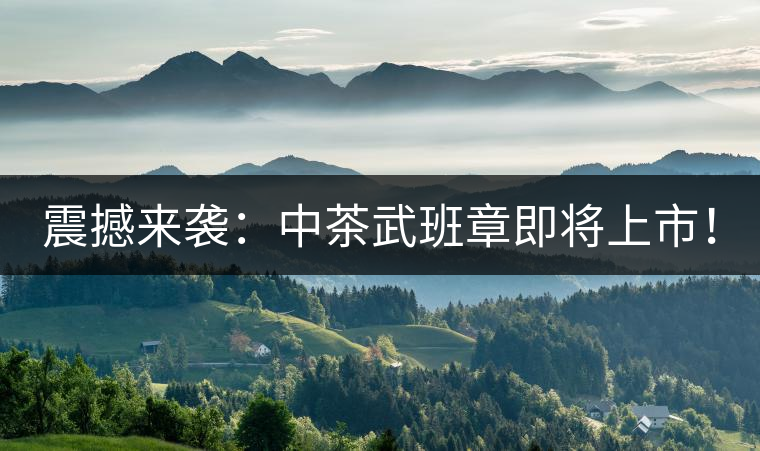 震撼來襲：中茶武班章即將上市！