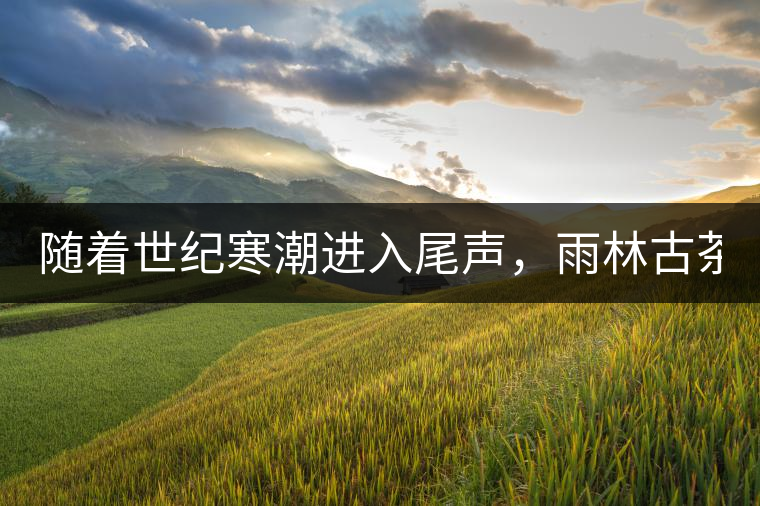 隨著世紀(jì)寒潮進(jìn)入尾聲，雨林古茶坊