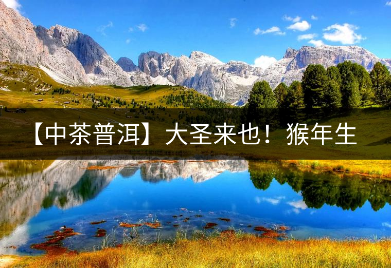 【中茶普洱】大圣來也！猴年生肖餅，耀眼登場！