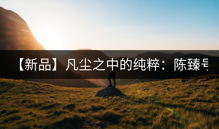 【新品】凡塵之中的純粹：陳臻號2016年精品青餅即將上市！