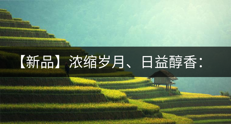 【新品】濃縮歲月、日益醇香：陳臻號陳品熟餅即將上市！