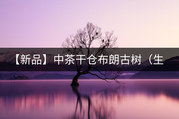 【新品】中茶干倉布朗古樹（生茶）—（電商專供） 上市