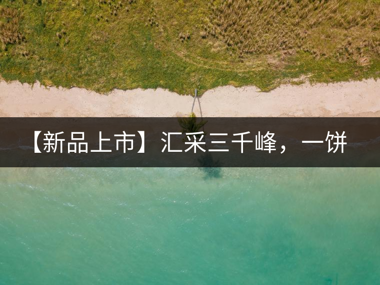 【新品上市】匯采三千峰，一餅群山鑄——群峰之峻！