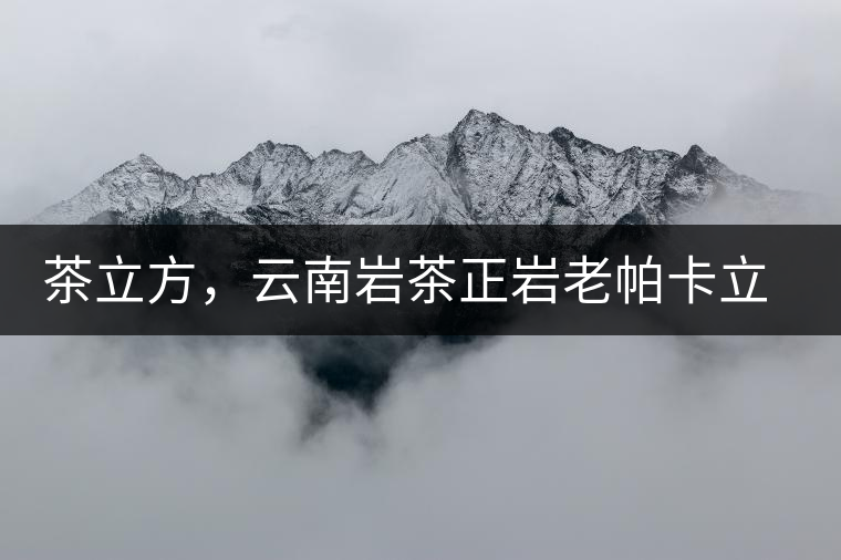 茶立方，云南巖茶正巖老帕卡立方磚今日芳香出爐