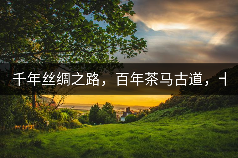 千年絲綢之路，百年茶馬古道，十年尋茶之旅，鑄造Puertea（十年紀念茶）