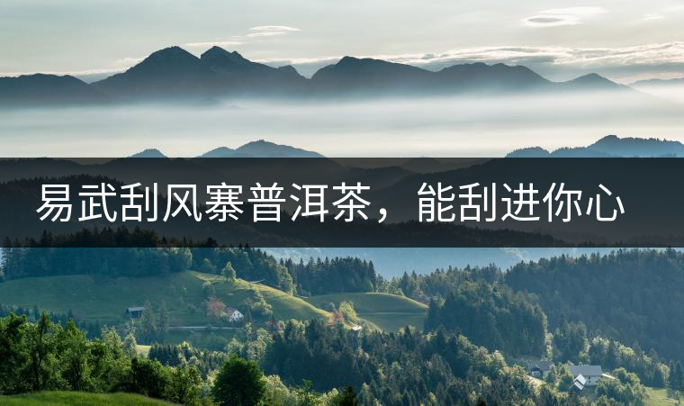 易武刮風(fēng)寨普洱茶，能刮進你心中的一道風(fēng)
