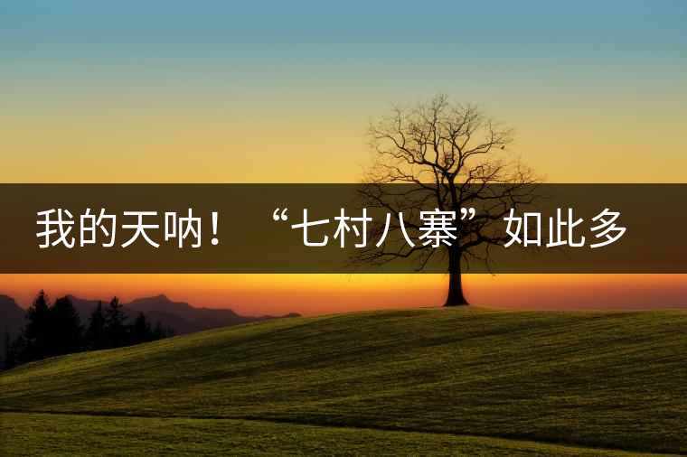 我的天吶！“七村八寨”如此多的易武茶，品質特色如何分辨？