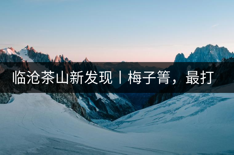 臨滄茶山新發(fā)現丨梅子箐，最打動自己的茶山