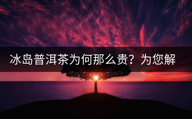 冰島普洱茶為何那么貴？為您解析其中的原由