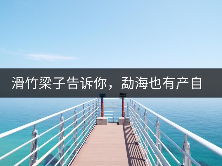 滑竹梁子告訴你，勐海也有產(chǎn)自國有林里的好茶！