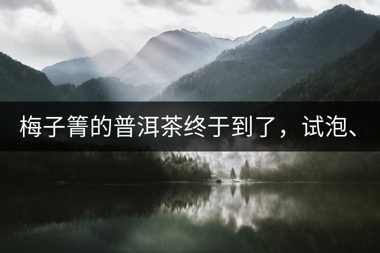 梅子箐的普洱茶終于到了，試泡、、、