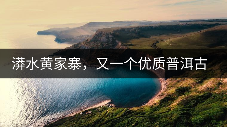 漭水黃家寨，又一個(gè)優(yōu)質(zhì)普洱古樹群落