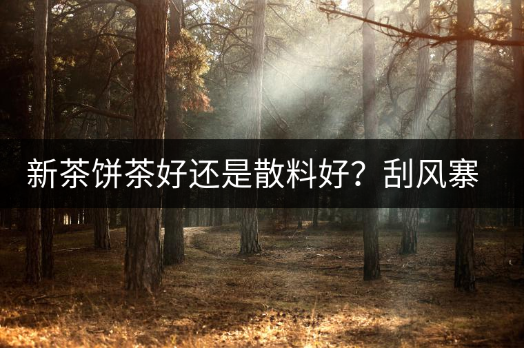 新茶餅茶好還是散料好？刮風寨開湯評測