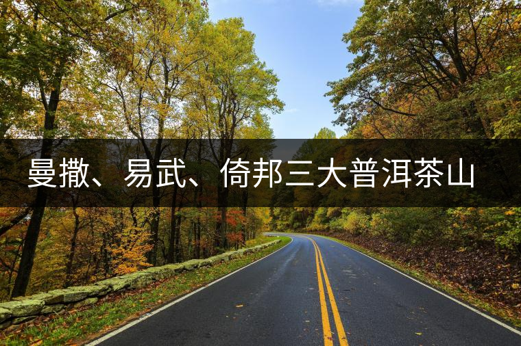 曼撒、易武、倚邦三大普洱茶山的品質(zhì)特點(diǎn)