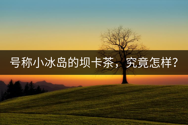 號稱小冰島的壩卡茶，究竟怎樣？