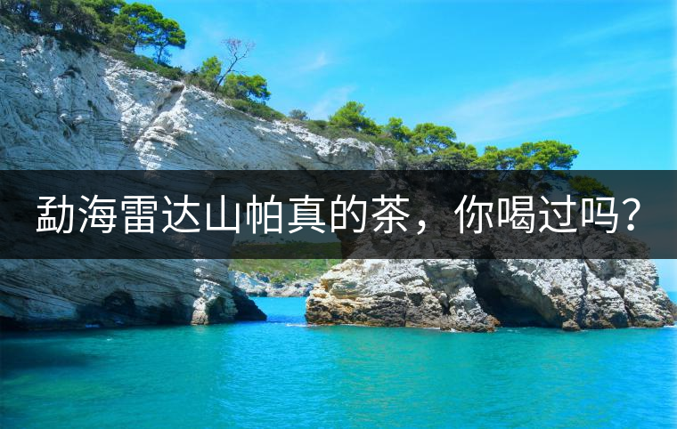 勐海雷達山帕真的茶，你喝過嗎？