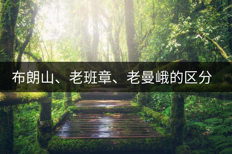 布朗山、老班章、老曼峨的區(qū)分和鑒別