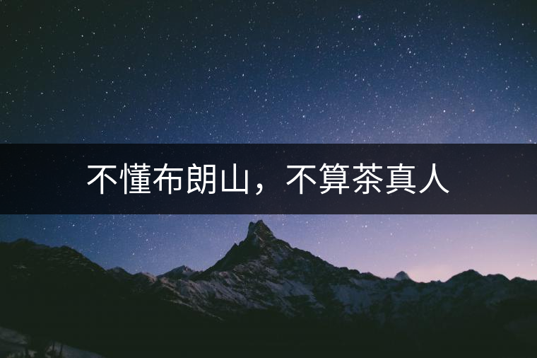 不懂布朗山，不算茶真人