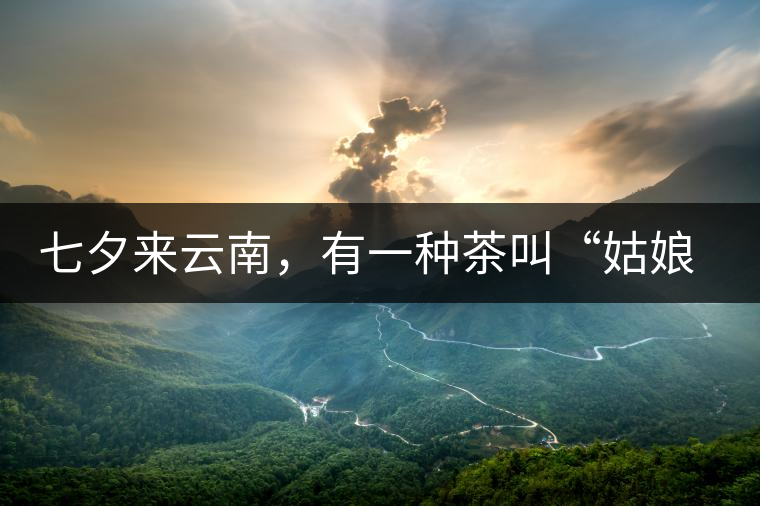 七夕來云南，有一種茶叫“姑娘茶”，也許你就能遇上