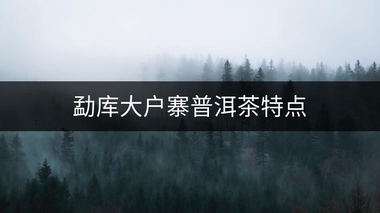 勐庫(kù)大戶寨普洱茶特點(diǎn)