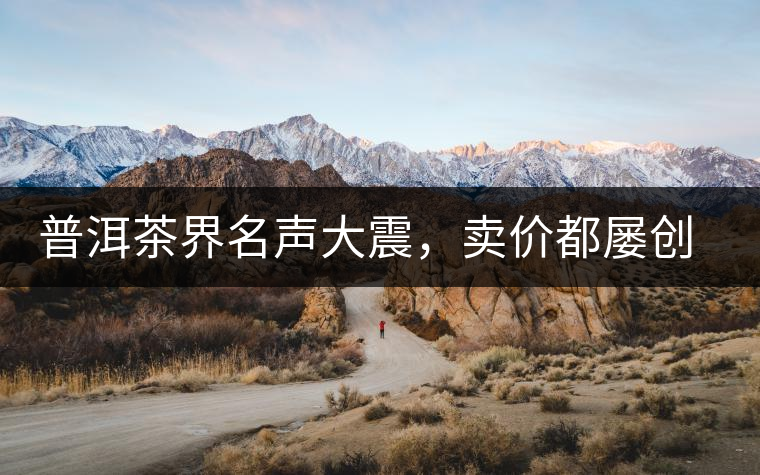 普洱茶界名聲大震，賣價都屢創(chuàng)新高竟然是它