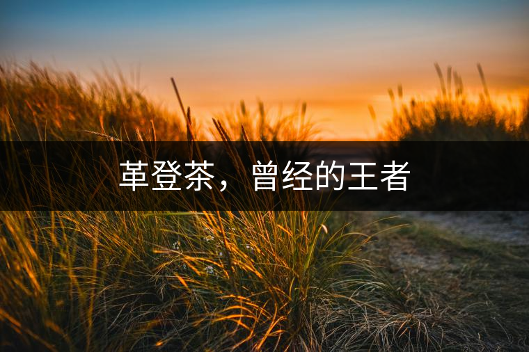 革登茶，曾經的王者