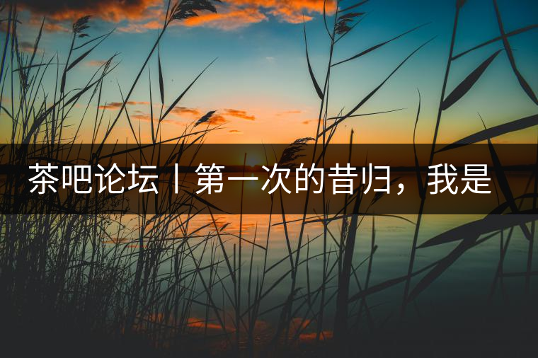 茶吧論壇丨第一次的昔歸，我是這樣喝到的