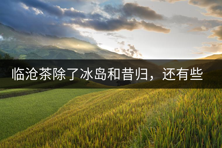 臨滄茶除了冰島和昔歸，還有些什么？