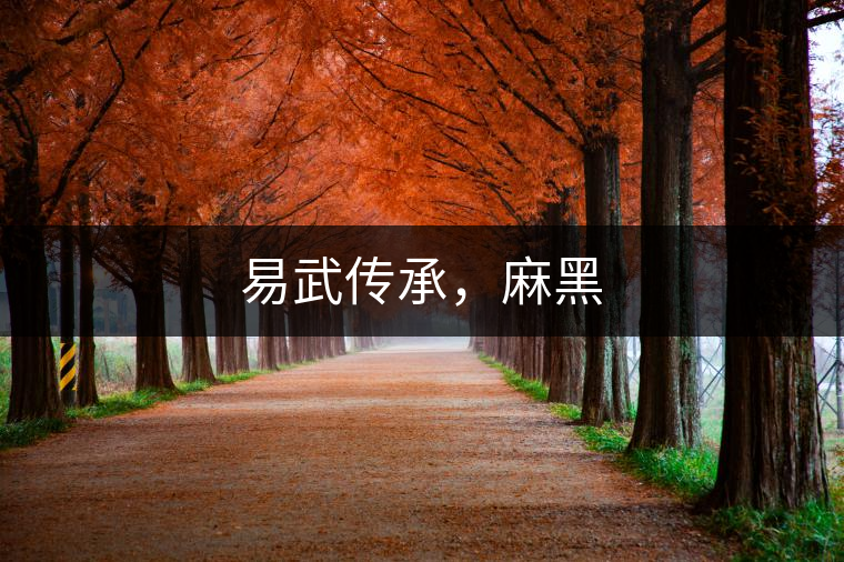 易武傳承，麻黑