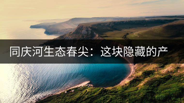 同慶河生態(tài)春尖：這塊隱藏的產(chǎn)茶圣地，你知道嗎？