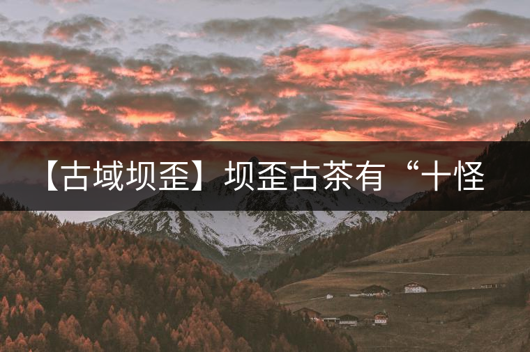 【古域壩歪】壩歪古茶有“十怪” 【古域壩歪】壩歪古茶有“十怪”