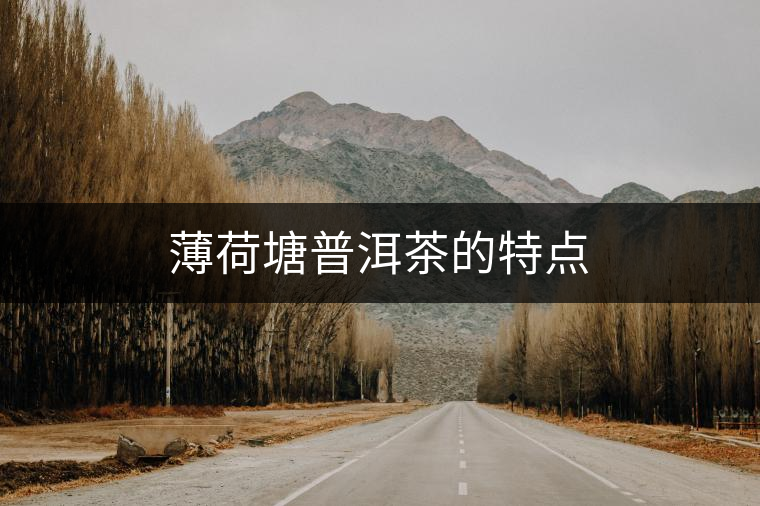 薄荷塘普洱茶的特點(diǎn) 薄荷塘普洱茶的特點(diǎn)
