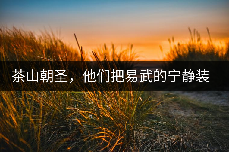 茶山朝圣，他們把易武的寧靜裝進(jìn)心里，卻把成堆垃圾留在