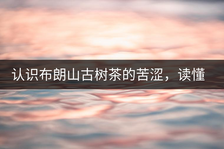 認(rèn)識(shí)布朗山古樹(shù)茶的苦澀，讀懂勐海普洱茶