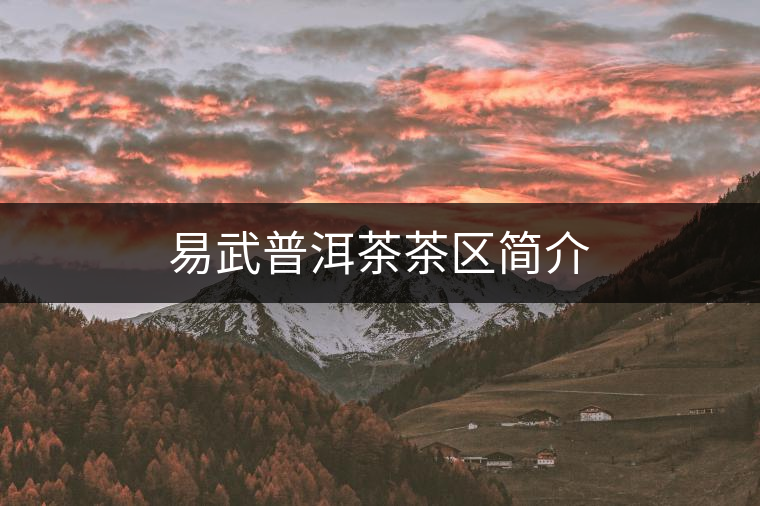 易武普洱茶茶區(qū)簡介