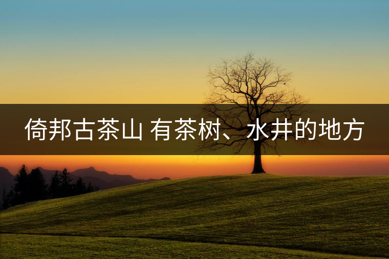 倚邦古茶山 有茶樹、水井的地方