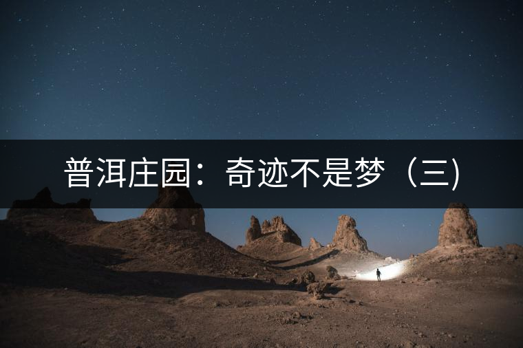 普洱莊園:奇跡不是夢(三) 普洱莊園:奇跡不是夢(三)