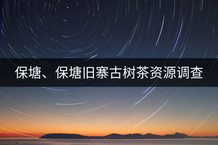 保塘、保塘舊寨古樹茶資源調(diào)查