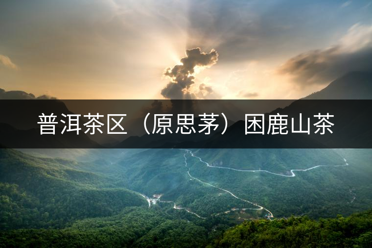 普洱茶區(qū)(原思茅)困鹿山茶 普洱茶區(qū)(原思茅)困鹿山茶