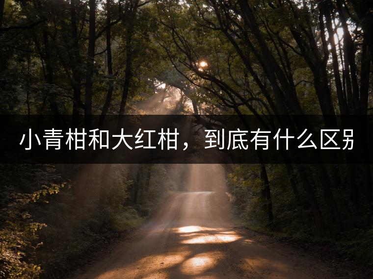 小青柑和大紅柑，到底有什么區(qū)別？