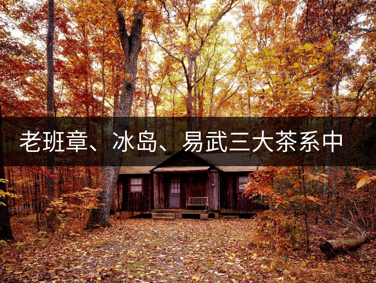 老班章、冰島、易武三大茶系中，“潛力股”為何是易武？