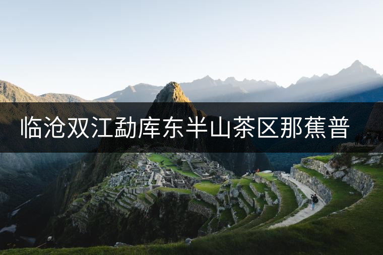 臨滄雙江勐庫(kù)東半山茶區(qū)那蕉普洱茶 臨滄雙江勐庫(kù)東半山茶區(qū)那蕉普洱茶