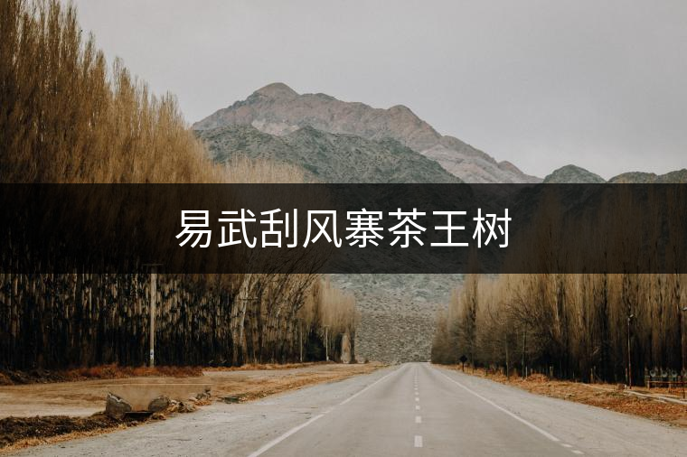 易武刮風(fēng)寨茶王樹(shù) 易武刮風(fēng)寨茶王樹(shù)