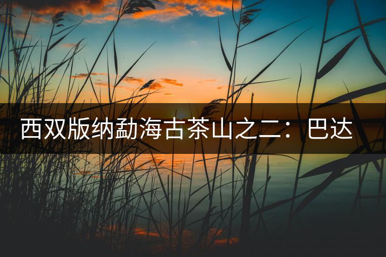 西雙版納勐海古茶山之二：巴達(dá)古茶山