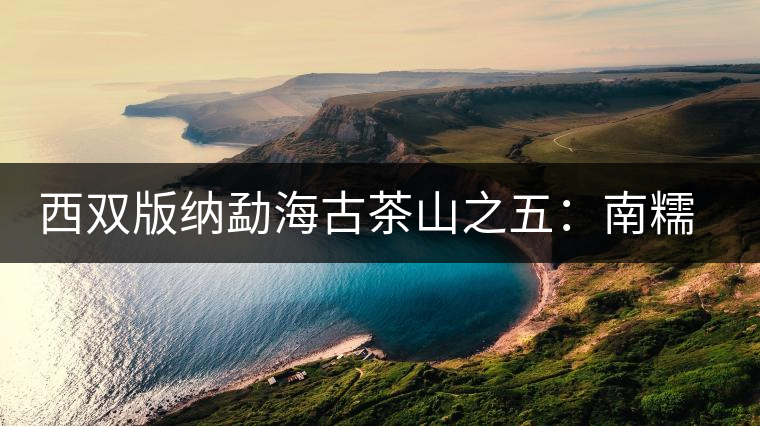 西雙版納勐海古茶山之五:南糯山古茶山 西雙版納勐海古茶山之五:南糯山古茶山