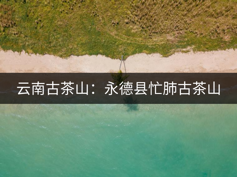 云南古茶山：永德縣忙肺古茶山